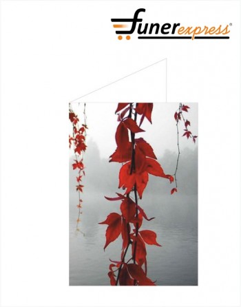 Pagela Folhas Vermelhas